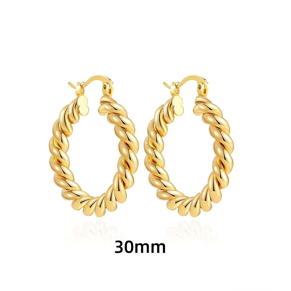 40875715067969Classics Punk Stainless Steel 18K Gold Plated Twisted Hoop Earrings