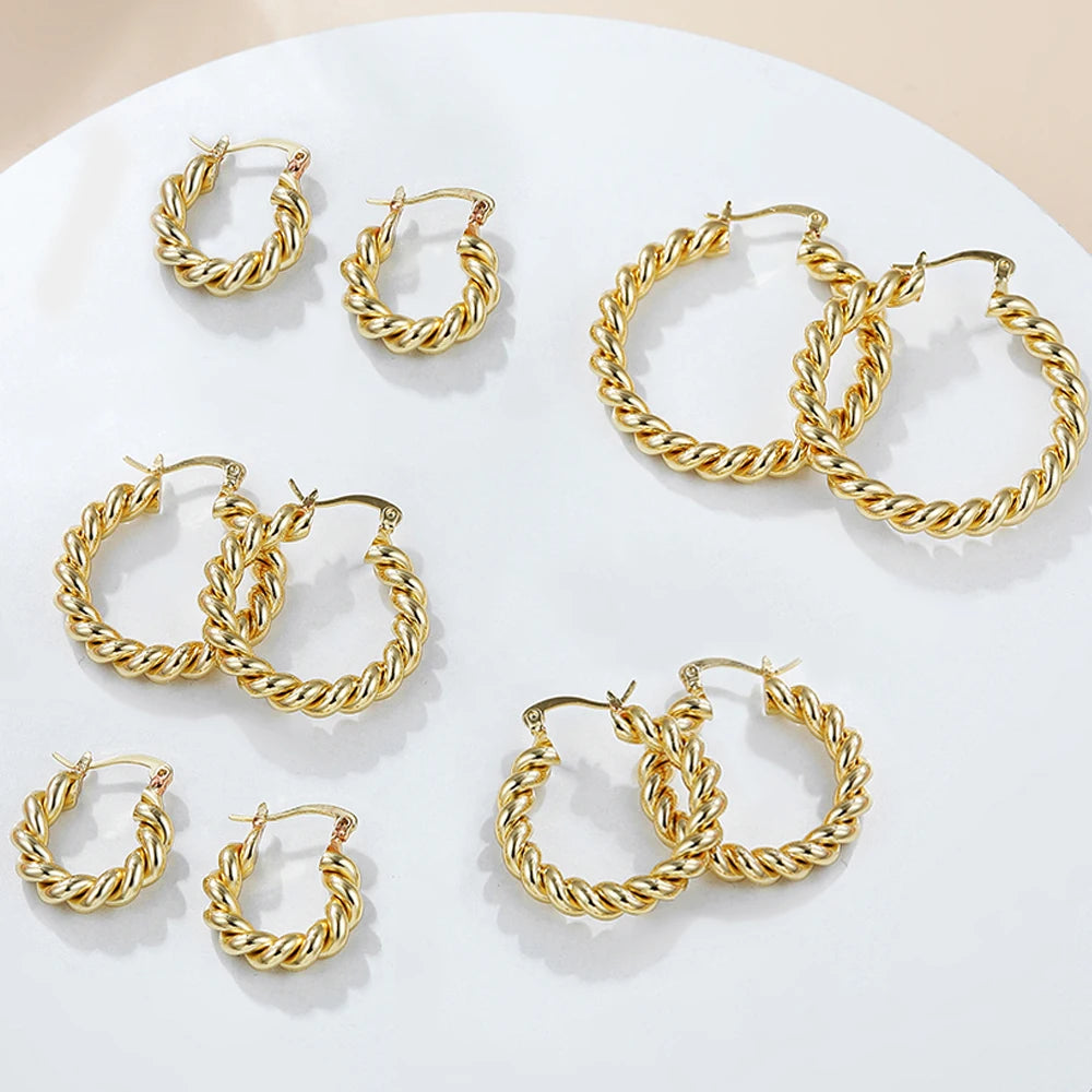 Classics Punk Stainless Steel 18K Gold Plated Twisted Hoop Earrings